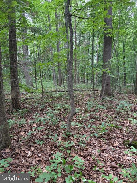 15413 DRUMMERS LN, ORANGE, Virginia 22960, ,Land,15413 DRUMMERS LN,VASP2043308 MLS # VASP2043308
