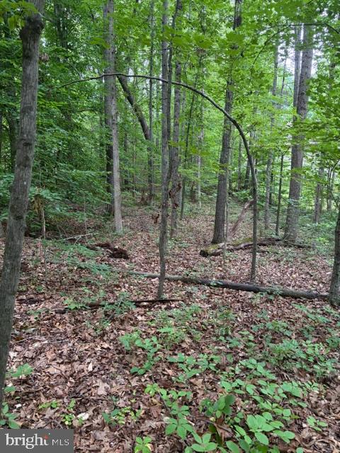 15413 DRUMMERS LN, ORANGE, Virginia 22960, ,Land,15413 DRUMMERS LN,VASP2043308 MLS # VASP2043308