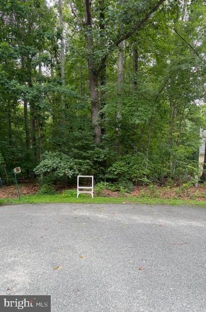 15413 DRUMMERS LN, ORANGE, Virginia 22960, ,Land,15413 DRUMMERS LN,VASP2043308 MLS # VASP2043308