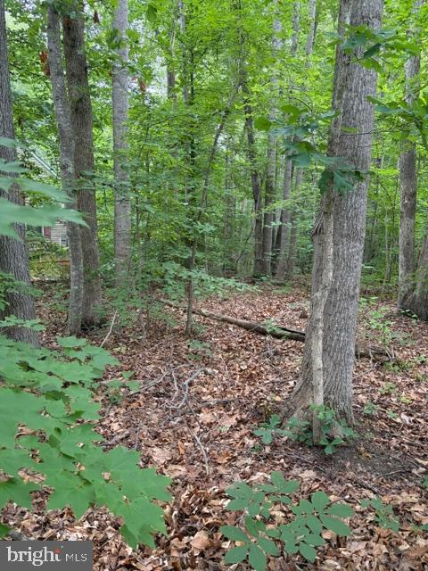 15413 DRUMMERS LN, ORANGE, Virginia 22960, ,Land,15413 DRUMMERS LN,VASP2043308 MLS # VASP2043308