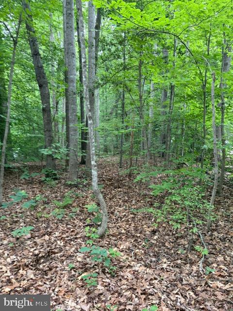 15413 DRUMMERS LN, ORANGE, Virginia 22960, ,Land,15413 DRUMMERS LN,VASP2043308 MLS # VASP2043308