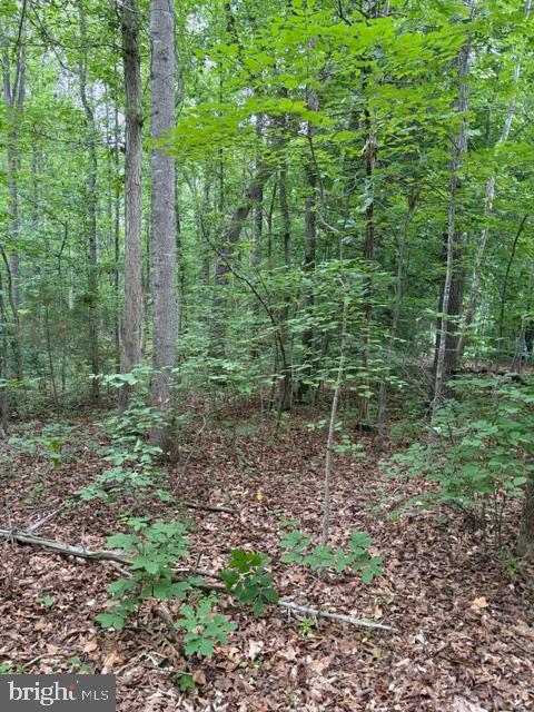 15413 DRUMMERS LN, ORANGE, Virginia 22960, ,Land,15413 DRUMMERS LN,VASP2043308 MLS # VASP2043308