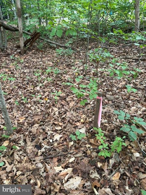 15413 DRUMMERS LN, ORANGE, Virginia 22960, ,Land,15413 DRUMMERS LN,VASP2043308 MLS # VASP2043308