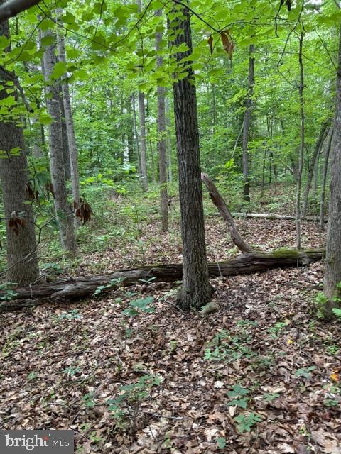 15413 DRUMMERS LN, ORANGE, Virginia 22960, ,Land,15413 DRUMMERS LN,VASP2043308 MLS # VASP2043308