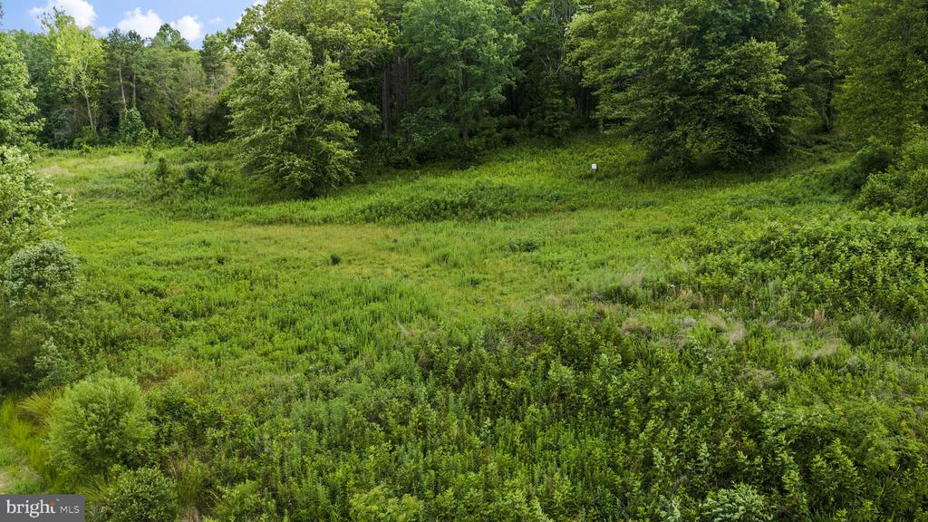 BELLA VISTA DR, ORANGE, Virginia 22960, ,Land,BELLA VISTA DR,VAOR2014432 MLS # VAOR2014432 BELLA VISTA DR, ORANGE, Virginia 22960, ,Land,BELLA VISTA DR,VAOR2014432 MLS # VAOR2014432