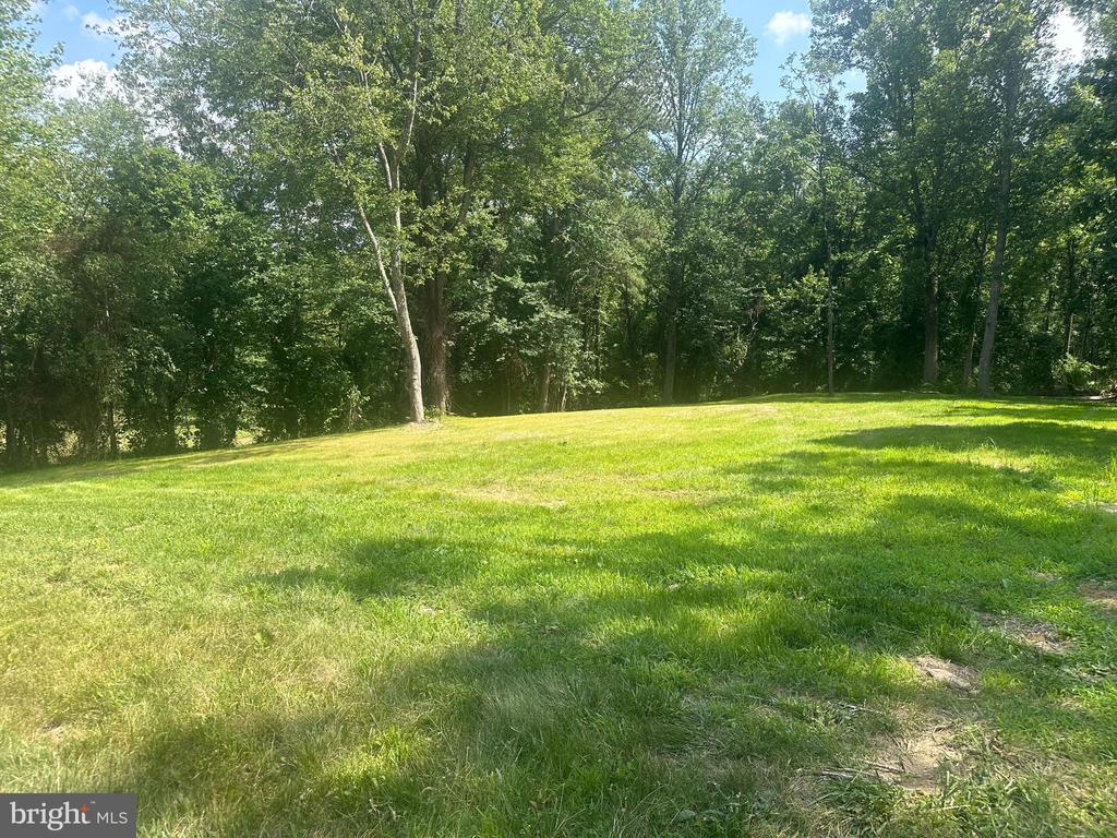 MOUNT NEBO CHURCH RD, MARSHALL, Virginia 20115, ,Land,MOUNT NEBO CHURCH RD,VAFQ2022874 MLS # VAFQ2022874 MOUNT NEBO CHURCH RD, MARSHALL, Virginia 20115, ,Land,MOUNT NEBO CHURCH RD,VAFQ2022874 MLS # VAFQ2022874
