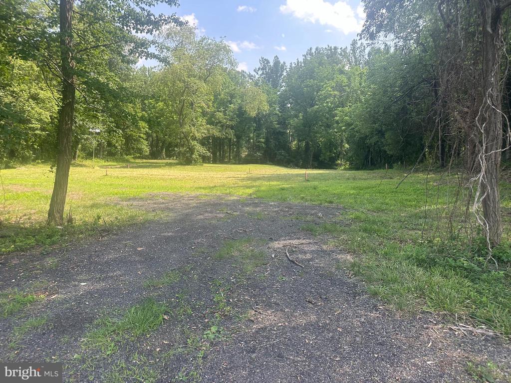 MOUNT NEBO CHURCH RD, MARSHALL, Virginia 20115, ,Land,MOUNT NEBO CHURCH RD,VAFQ2022874 MLS # VAFQ2022874 MOUNT NEBO CHURCH RD, MARSHALL, Virginia 20115, ,Land,MOUNT NEBO CHURCH RD,VAFQ2022874 MLS # VAFQ2022874