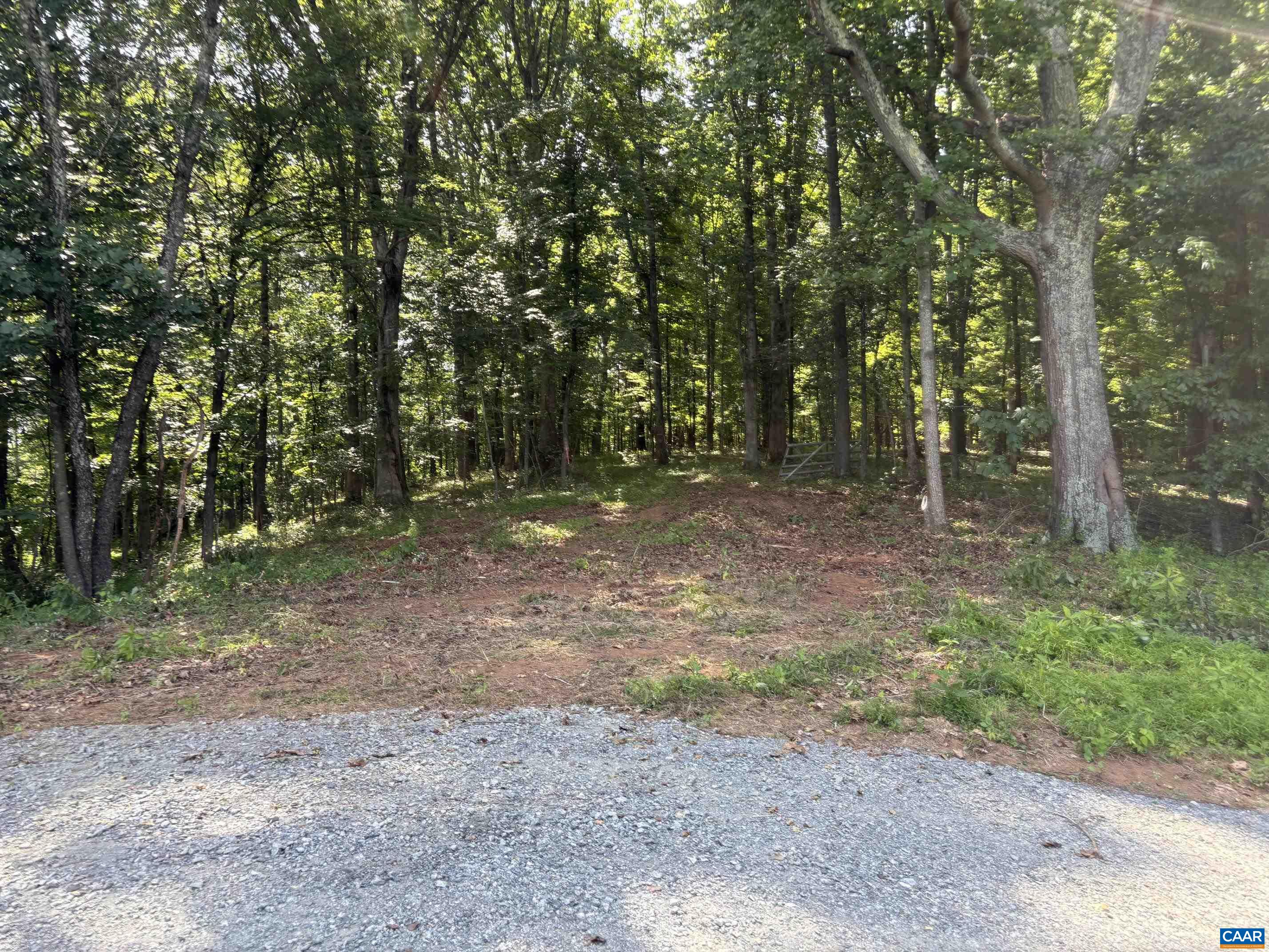 TM 39-31&33b THRIFT RD, MADISON, Virginia 22727, ,Land,White Oak Run,TM 39-31&33b THRIFT RD,679096 MLS # 679096 TM 39-31&33b THRIFT RD, MADISON, Virginia 22727, ,Land,White Oak Run,TM 39-31&33b THRIFT RD,679096 MLS # 679096