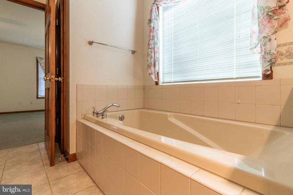 3 ALBANO CT, PALMYRA, Virginia 22963, 3 Bedrooms Bedrooms, ,3 BathroomsBathrooms,Residential,3 ALBANO CT,VAFN2000704 MLS # VAFN2000704