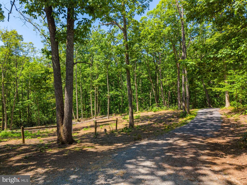 10275 MOUNTAIN RUN LAKE RD, CULPEPER, Virginia 22701, 3 Bedrooms Bedrooms, ,3 BathroomsBathrooms,Residential,10275 MOUNTAIN RUN LAKE RD,VACU2014250 MLS # VACU2014250 10275 MOUNTAIN RUN LAKE RD, CULPEPER, Virginia 22701, 3 Bedrooms Bedrooms, ,3 BathroomsBathrooms,Residential,10275 MOUNTAIN RUN LAKE RD,VACU2014250 MLS # VACU2014250