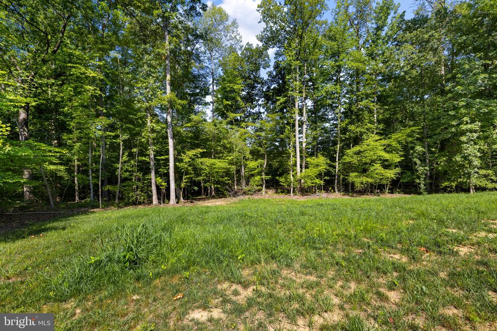 90 HOLLY CT, MINERAL, Virginia 23117, 4 Bedrooms Bedrooms, ,2 BathroomsBathrooms,Residential,90 HOLLY CT,VALA2010116 MLS # VALA2010116 90 HOLLY CT, MINERAL, Virginia 23117, 4 Bedrooms Bedrooms, ,2 BathroomsBathrooms,Residential,90 HOLLY CT,VALA2010116 MLS # VALA2010116