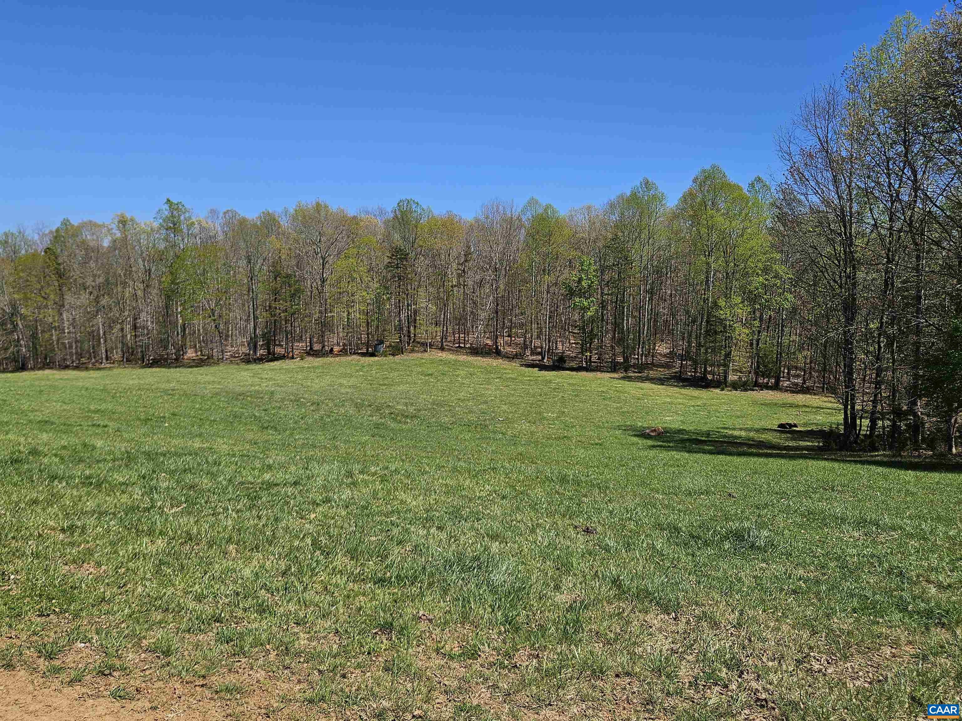 3814 S CONSTITUTION RTE, DILLWYN, Virginia 23936, 3 Bedrooms Bedrooms, ,1 BathroomBathrooms,Residential,3814 S CONSTITUTION RTE,679087 MLS # 679087 3814 S CONSTITUTION RTE, DILLWYN, Virginia 23936, 3 Bedrooms Bedrooms, ,1 BathroomBathrooms,Residential,3814 S CONSTITUTION RTE,679087 MLS # 679087