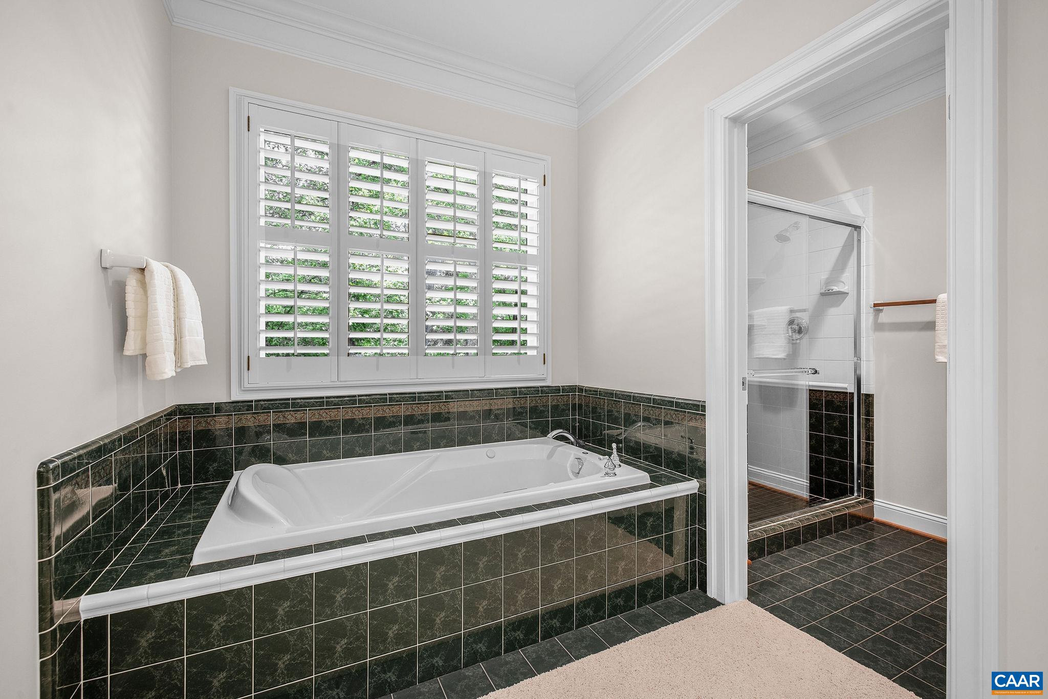 3059 HYDE PARK PL, KESWICK, Virginia 22947, 5 Bedrooms Bedrooms, ,5 BathroomsBathrooms,Residential,3059 HYDE PARK PL,679093 MLS # 679093