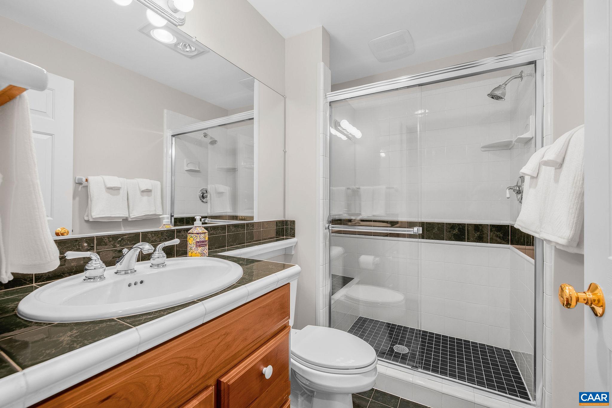3059 HYDE PARK PL, KESWICK, Virginia 22947, 5 Bedrooms Bedrooms, ,5 BathroomsBathrooms,Residential,3059 HYDE PARK PL,679093 MLS # 679093