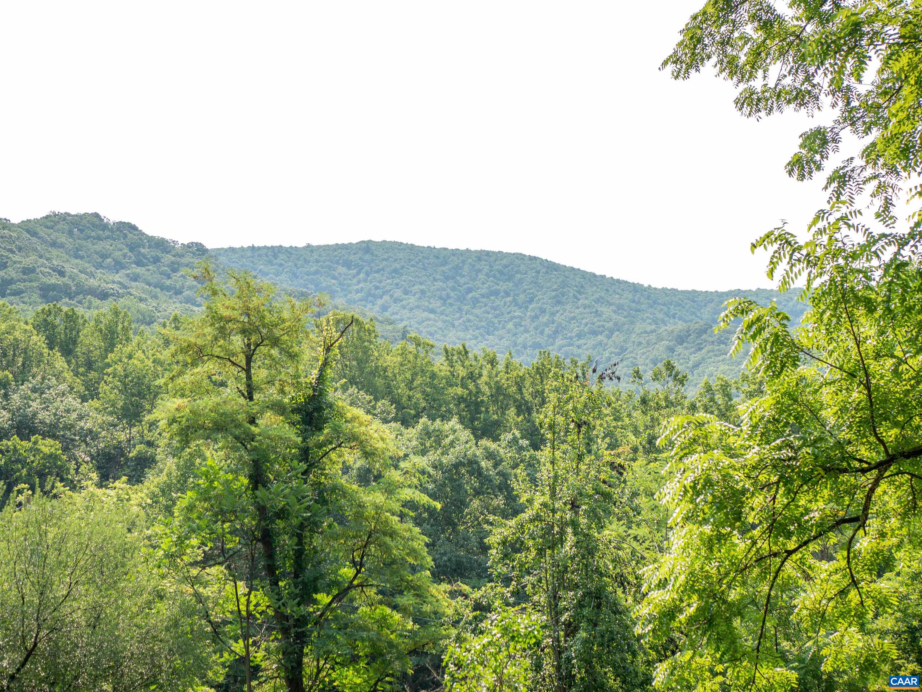 4893 WEAKLEY HOLLOW RD, SYRIA, Virginia 22743, 2 Bedrooms Bedrooms, ,2 BathroomsBathrooms,Residential,191 Birch Gate Lane,4893 WEAKLEY HOLLOW RD,679101 MLS # 679101 4893 WEAKLEY HOLLOW RD, SYRIA, Virginia 22743, 2 Bedrooms Bedrooms, ,2 BathroomsBathrooms,Residential,191 Birch Gate Lane,4893 WEAKLEY HOLLOW RD,679101 MLS # 679101