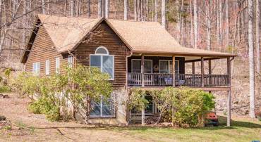 4893 WEAKLEY HOLLOW RD, SYRIA, Virginia 22743, 2 Bedrooms Bedrooms, ,2 BathroomsBathrooms,Residential,191 Birch Gate Lane,4893 WEAKLEY HOLLOW RD,679101 MLS # 679101