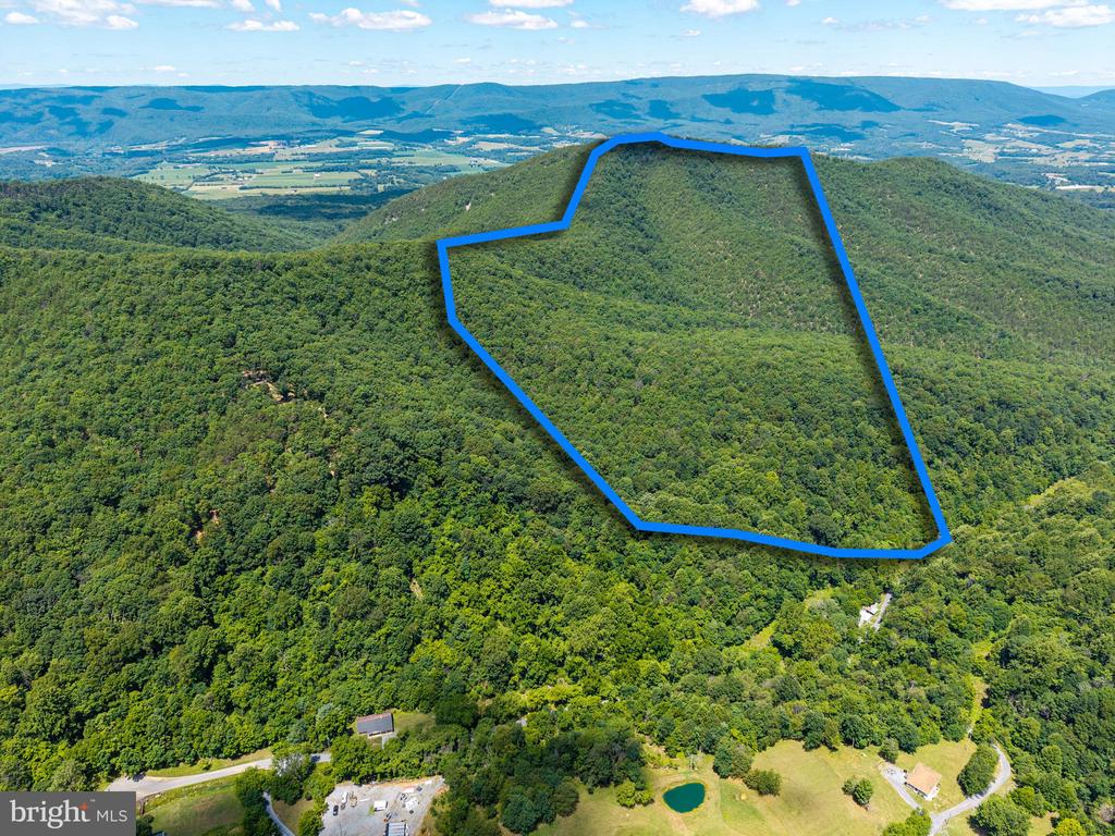 0 DOVEL HOLLOW RD, STANLEY, Virginia 22851, ,Farm,0 DOVEL HOLLOW RD,VAPA2006592 MLS # VAPA2006592