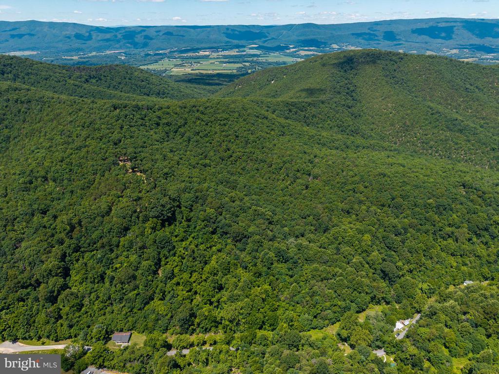 0 DOVEL HOLLOW RD, STANLEY, Virginia 22851, ,Farm,0 DOVEL HOLLOW RD,VAPA2006592 MLS # VAPA2006592
