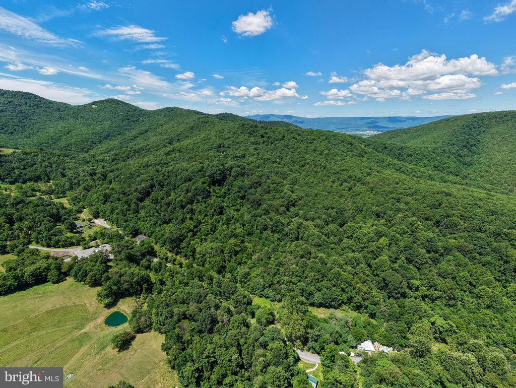 0 DOVEL HOLLOW RD, STANLEY, Virginia 22851, ,Farm,0 DOVEL HOLLOW RD,VAPA2006592 MLS # VAPA2006592