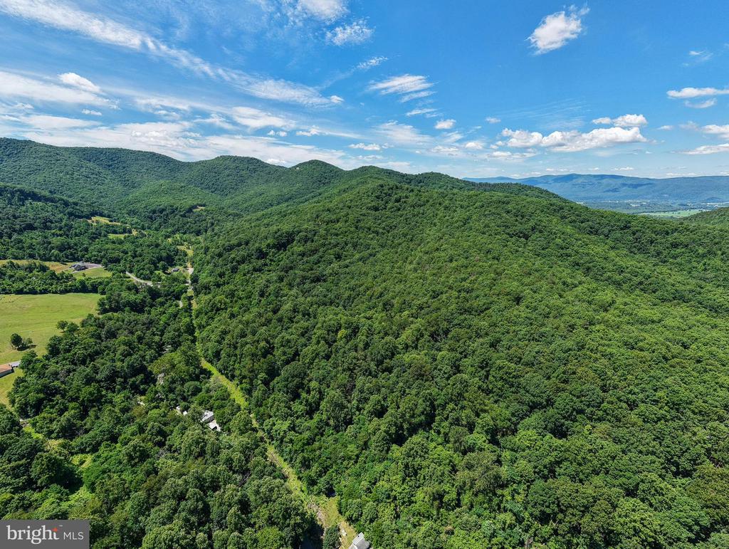 0 DOVEL HOLLOW RD, STANLEY, Virginia 22851, ,Farm,0 DOVEL HOLLOW RD,VAPA2006592 MLS # VAPA2006592