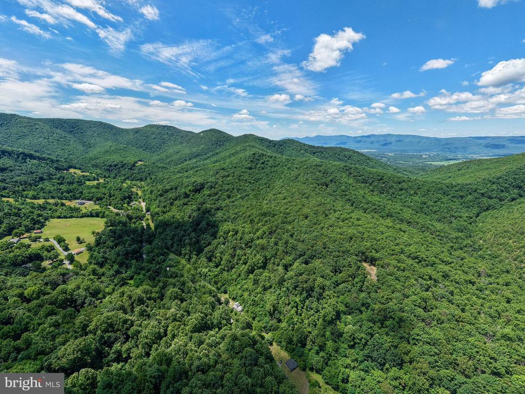 0 DOVEL HOLLOW RD, STANLEY, Virginia 22851, ,Farm,0 DOVEL HOLLOW RD,VAPA2006592 MLS # VAPA2006592