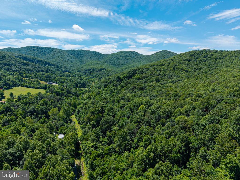 0 DOVEL HOLLOW RD, STANLEY, Virginia 22851, ,Farm,0 DOVEL HOLLOW RD,VAPA2006592 MLS # VAPA2006592