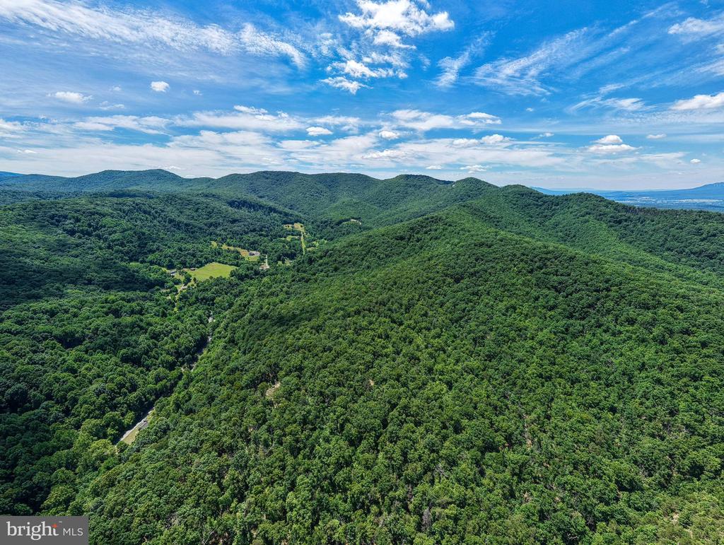 0 DOVEL HOLLOW RD, STANLEY, Virginia 22851, ,Farm,0 DOVEL HOLLOW RD,VAPA2006592 MLS # VAPA2006592