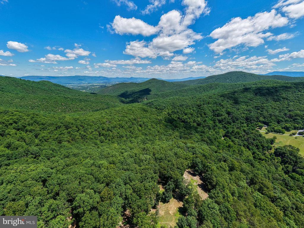 0 DOVEL HOLLOW RD, STANLEY, Virginia 22851, ,Farm,0 DOVEL HOLLOW RD,VAPA2006592 MLS # VAPA2006592
