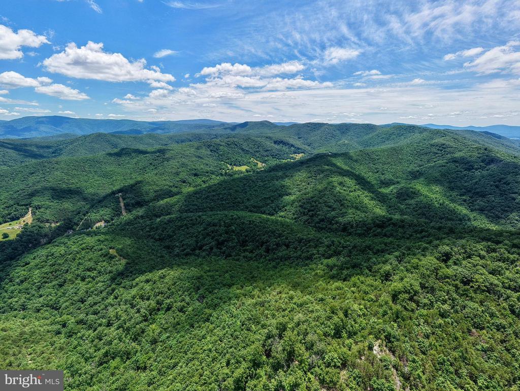 0 DOVEL HOLLOW RD, STANLEY, Virginia 22851, ,Farm,0 DOVEL HOLLOW RD,VAPA2006592 MLS # VAPA2006592
