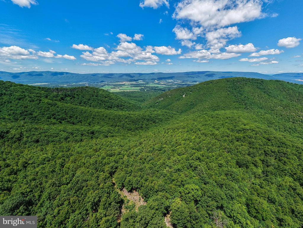 0 DOVEL HOLLOW RD, STANLEY, Virginia 22851, ,Farm,0 DOVEL HOLLOW RD,VAPA2006592 MLS # VAPA2006592