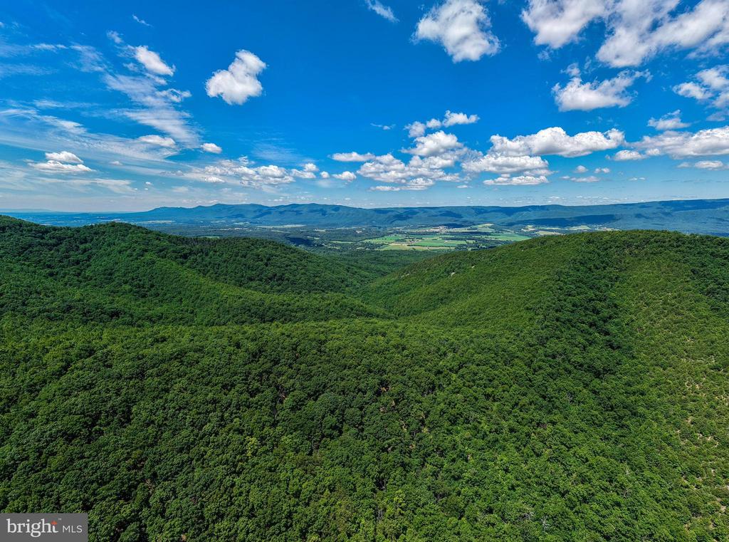 0 DOVEL HOLLOW RD, STANLEY, Virginia 22851, ,Farm,0 DOVEL HOLLOW RD,VAPA2006592 MLS # VAPA2006592