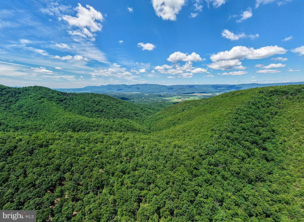 0 DOVEL HOLLOW RD, STANLEY, Virginia 22851, ,Farm,0 DOVEL HOLLOW RD,VAPA2006592 MLS # VAPA2006592