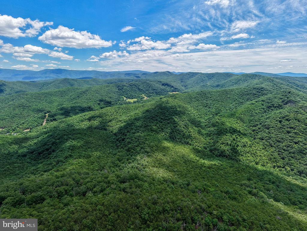 0 DOVEL HOLLOW RD, STANLEY, Virginia 22851, ,Farm,0 DOVEL HOLLOW RD,VAPA2006592 MLS # VAPA2006592