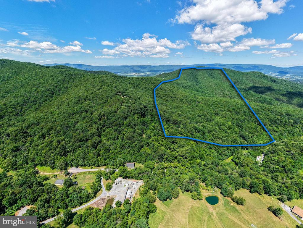 0 DOVEL HOLLOW RD, STANLEY, Virginia 22851, ,Farm,0 DOVEL HOLLOW RD,VAPA2006592 MLS # VAPA2006592