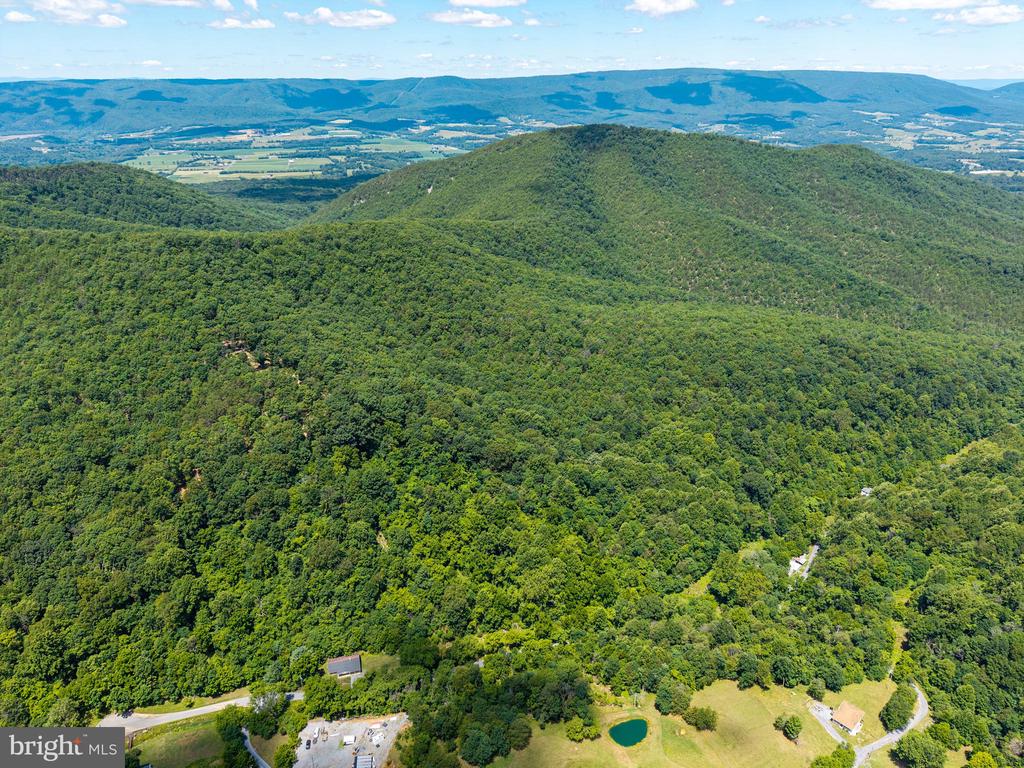 0 DOVEL HOLLOW RD, STANLEY, Virginia 22851, ,Farm,0 DOVEL HOLLOW RD,VAPA2006592 MLS # VAPA2006592