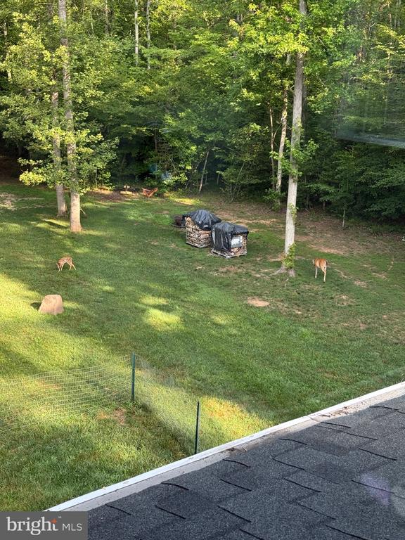 7728 PO RIVER DR, SPOTSYLVANIA, Virginia 22551, 4 Bedrooms Bedrooms, ,2 BathroomsBathrooms,Residential,7728 PO RIVER DR,VASP2043342 MLS # VASP2043342 7728 PO RIVER DR, SPOTSYLVANIA, Virginia 22551, 4 Bedrooms Bedrooms, ,2 BathroomsBathrooms,Residential,7728 PO RIVER DR,VASP2043342 MLS # VASP2043342