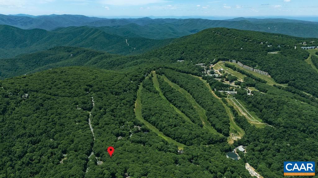 18 SQUIRREL TREE LN, WINTERGREEN RESORT, Virginia 22967, 3 Bedrooms Bedrooms, ,2 BathroomsBathrooms,Residential,18 SQUIRREL TREE LN,679019 MLS # 679019