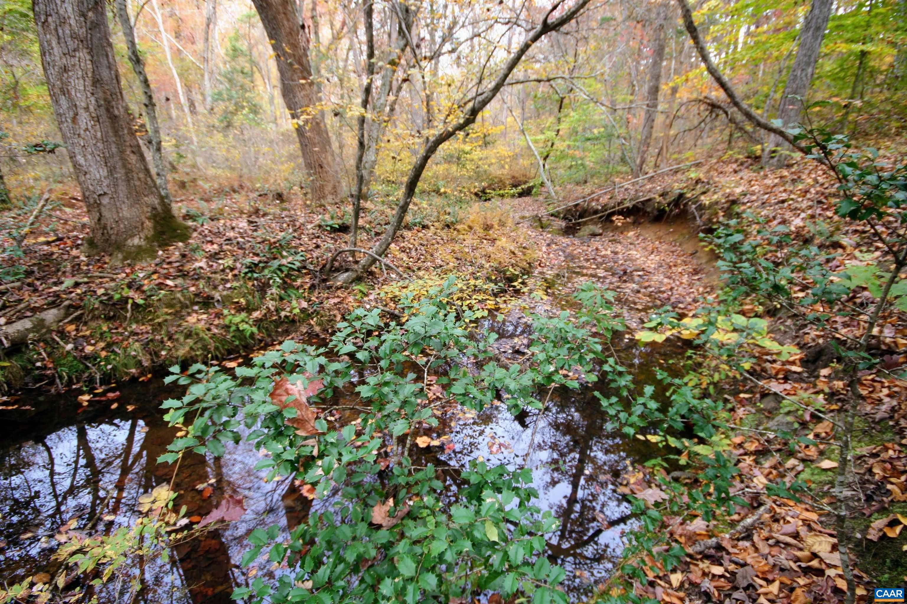 TBA RIDGE RD, ARVONIA, Virginia 23004, ,Land,Ridge Road Lot 1,TBA RIDGE RD,670563 MLS # 670563 TBA RIDGE RD, ARVONIA, Virginia 23004, ,Land,Ridge Road Lot 1,TBA RIDGE RD,670563 MLS # 670563