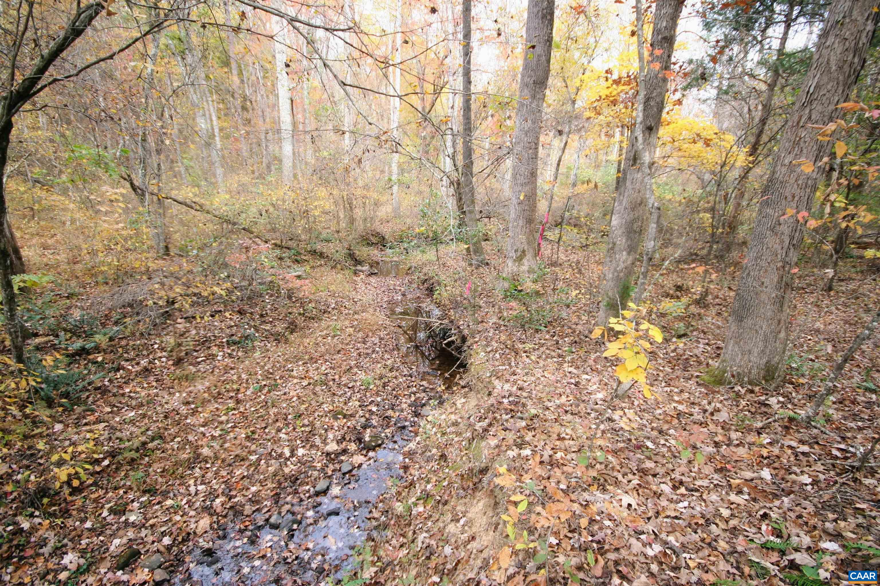 TBA RIDGE RD, ARVONIA, Virginia 23004, ,Land,Ridge Road Lot 1,TBA RIDGE RD,670563 MLS # 670563 TBA RIDGE RD, ARVONIA, Virginia 23004, ,Land,Ridge Road Lot 1,TBA RIDGE RD,670563 MLS # 670563