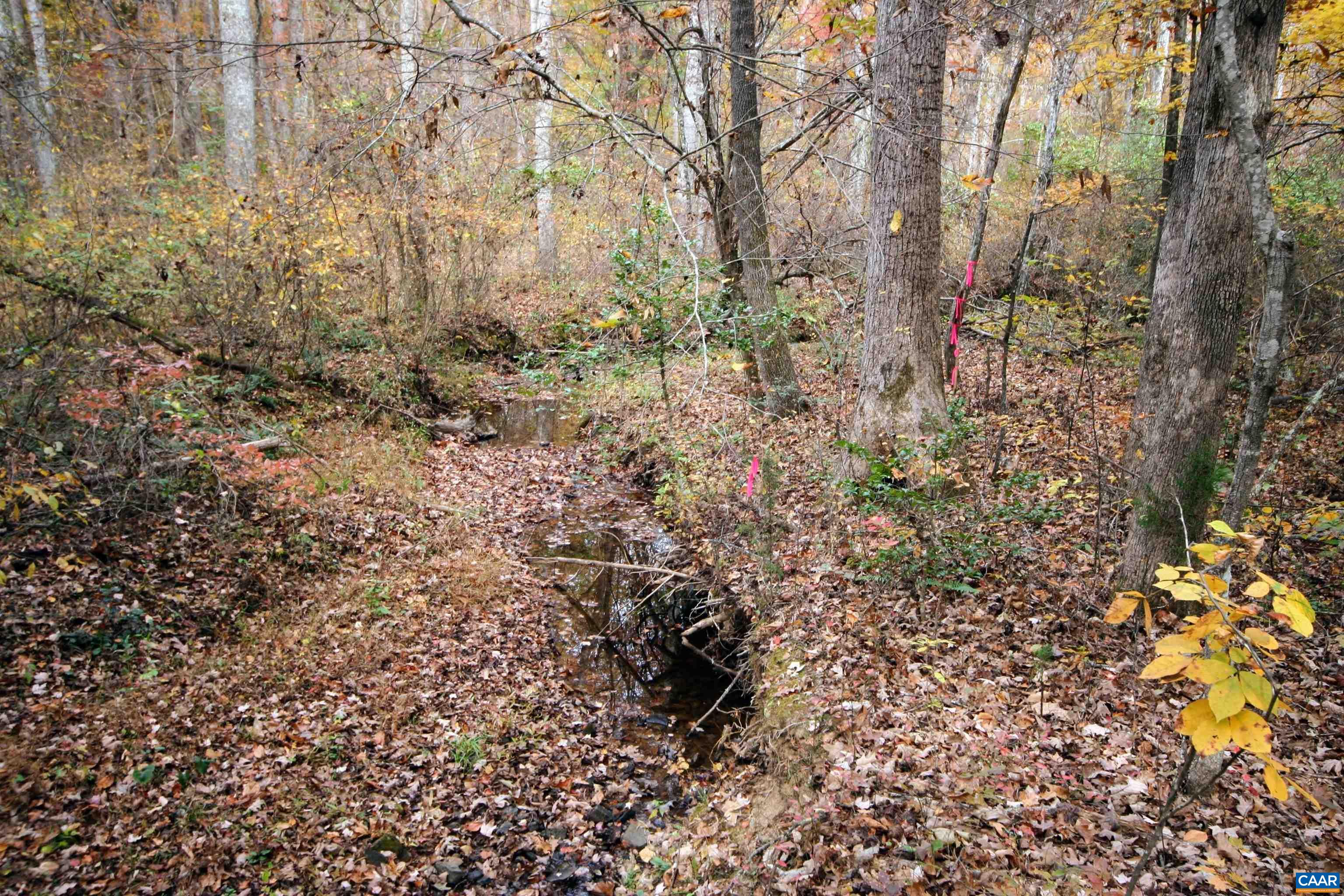 TBA RIDGE RD, ARVONIA, Virginia 23004, ,Land,Ridge Road Lot 1,TBA RIDGE RD,670563 MLS # 670563 TBA RIDGE RD, ARVONIA, Virginia 23004, ,Land,Ridge Road Lot 1,TBA RIDGE RD,670563 MLS # 670563