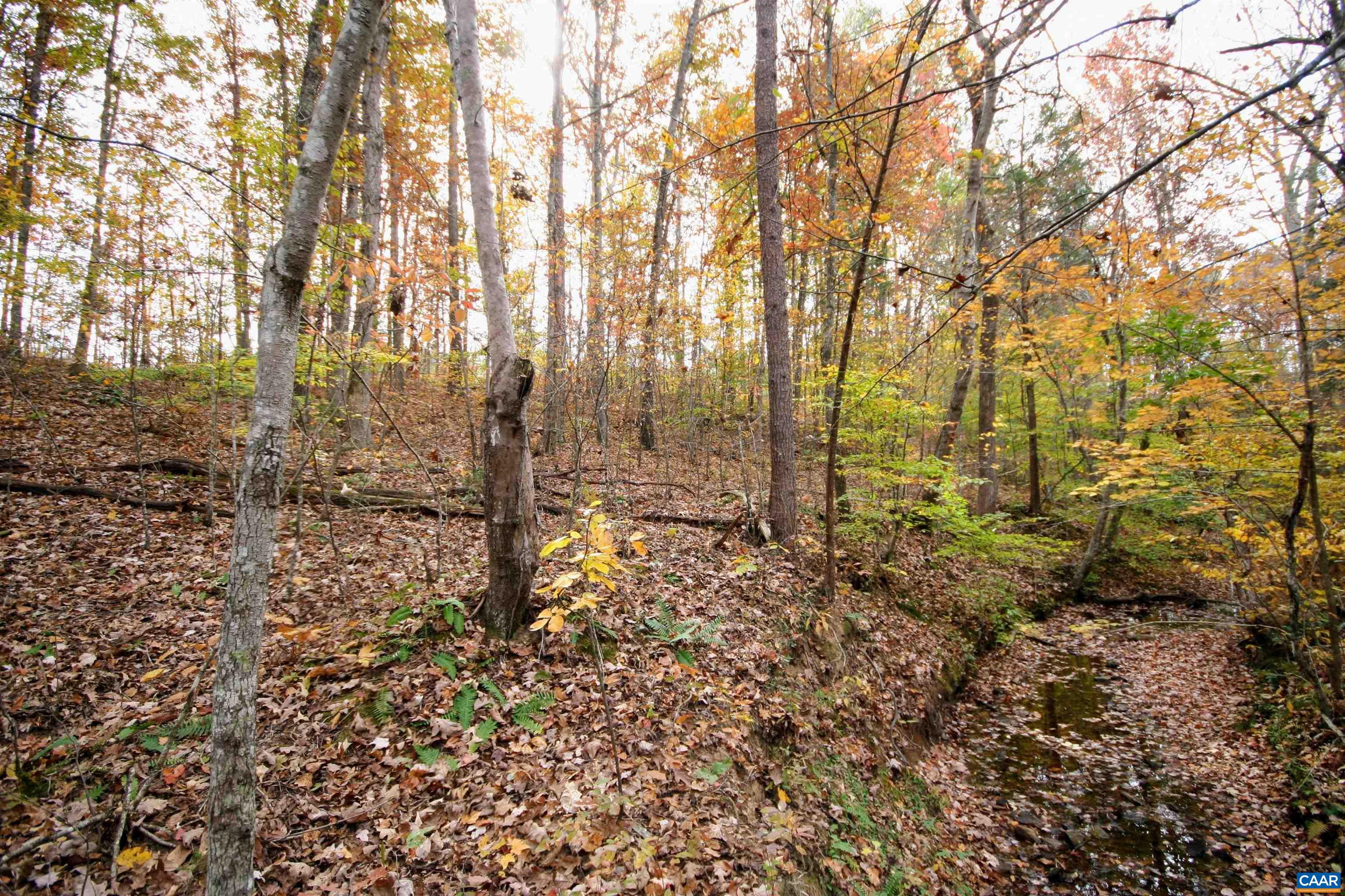TBA RIDGE RD, ARVONIA, Virginia 23004, ,Land,Ridge Road Lot 1,TBA RIDGE RD,670563 MLS # 670563 TBA RIDGE RD, ARVONIA, Virginia 23004, ,Land,Ridge Road Lot 1,TBA RIDGE RD,670563 MLS # 670563