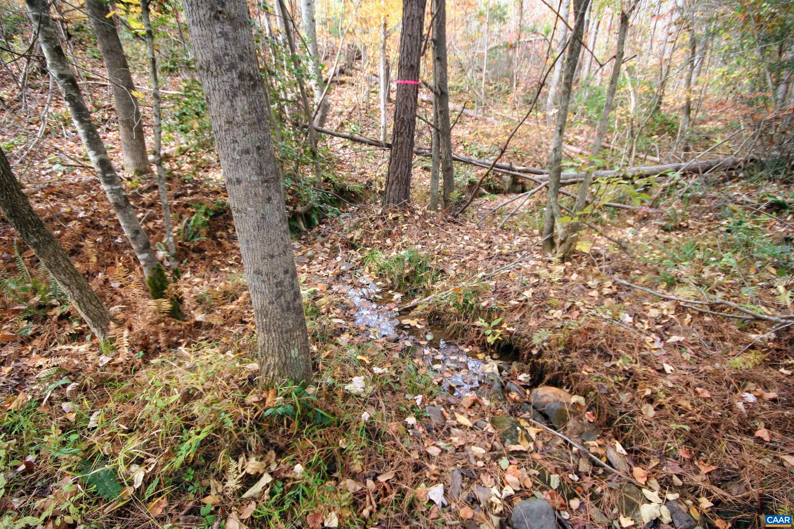 TBA RIDGE RD, ARVONIA, Virginia 23004, ,Land,Ridge Road Lot 1,TBA RIDGE RD,670563 MLS # 670563 TBA RIDGE RD, ARVONIA, Virginia 23004, ,Land,Ridge Road Lot 1,TBA RIDGE RD,670563 MLS # 670563