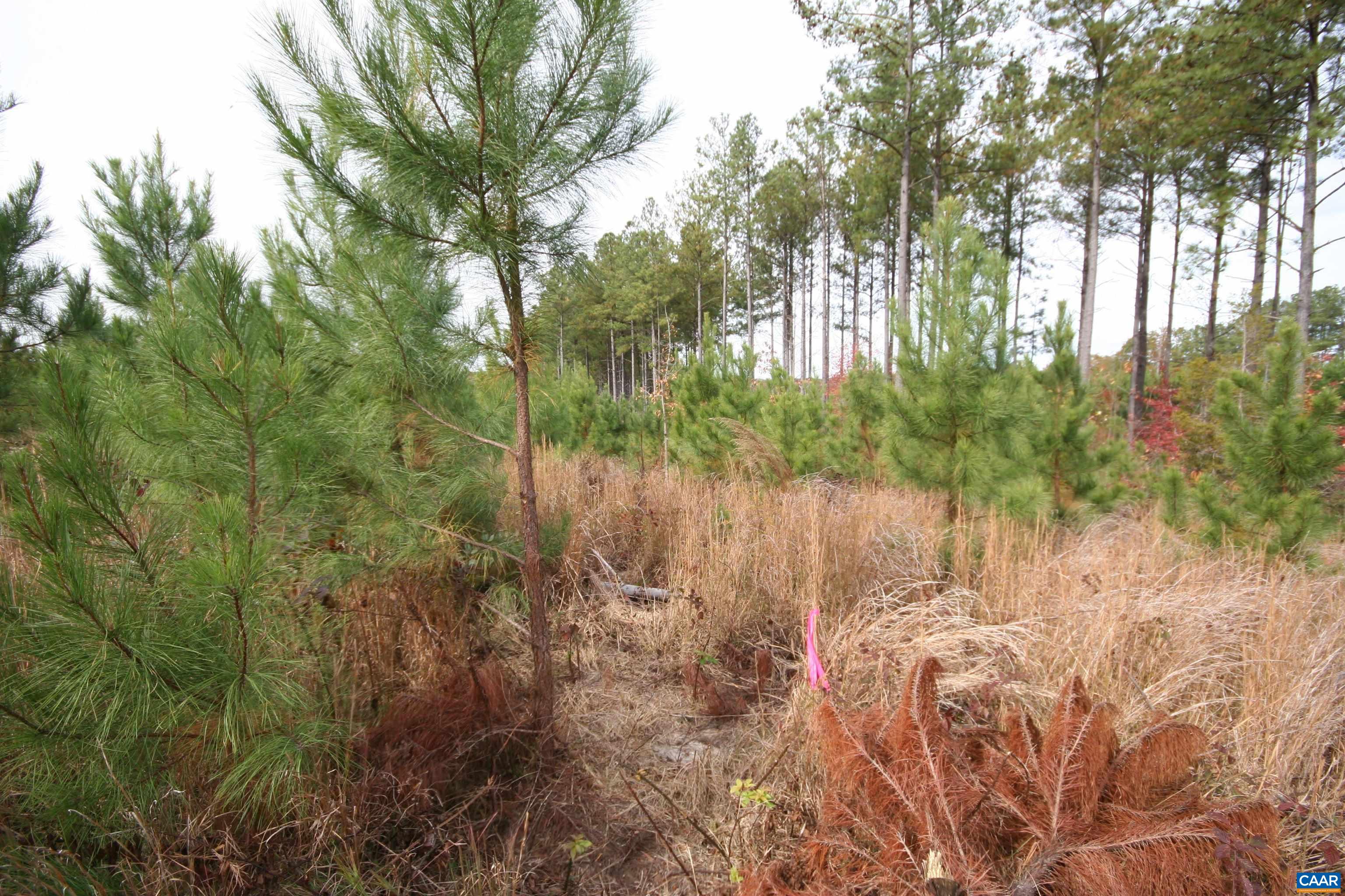 TBA RIDGE RD, ARVONIA, Virginia 23004, ,Land,Ridge Road Lot 1,TBA RIDGE RD,670563 MLS # 670563 TBA RIDGE RD, ARVONIA, Virginia 23004, ,Land,Ridge Road Lot 1,TBA RIDGE RD,670563 MLS # 670563