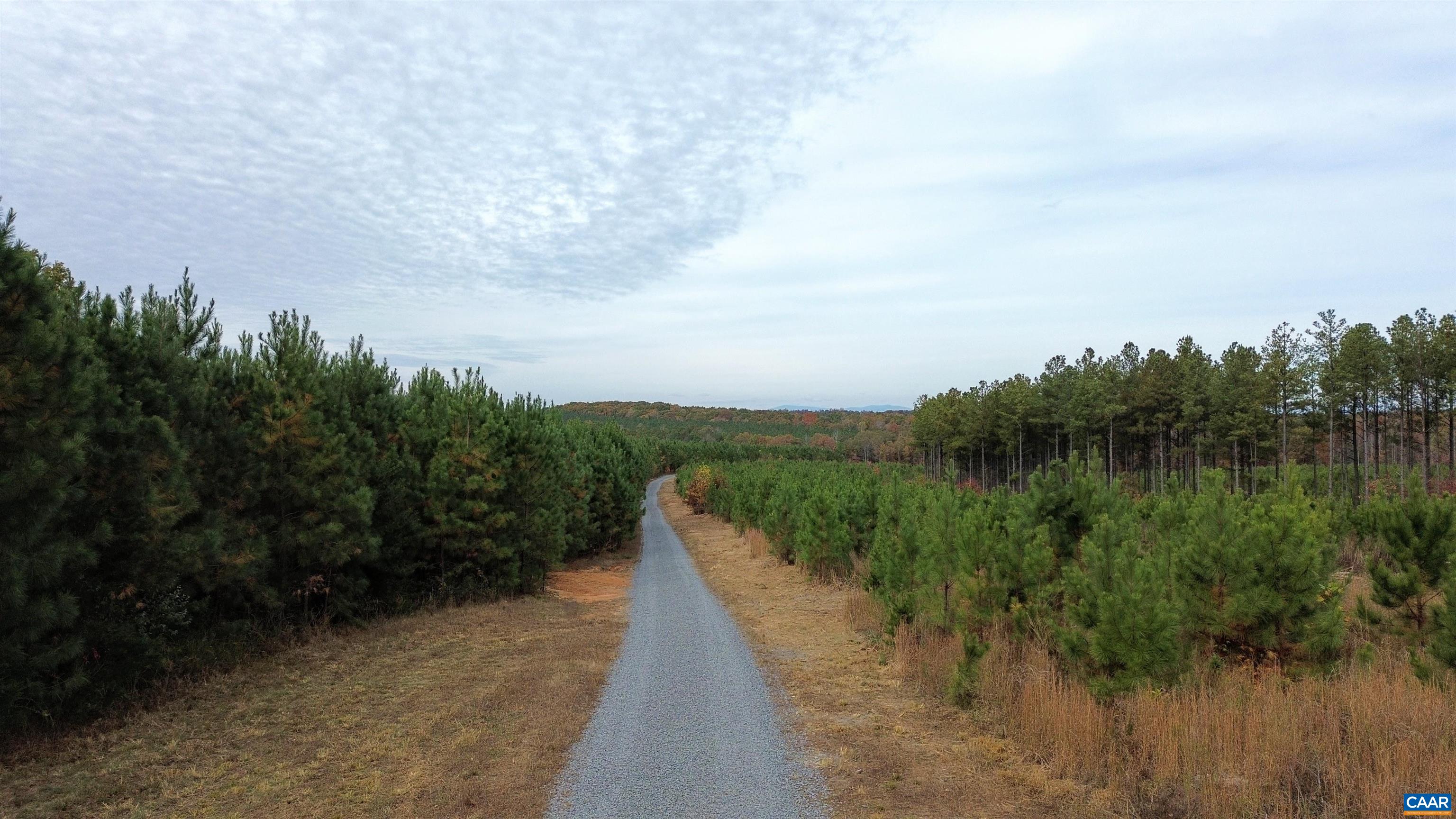 TBA RIDGE RD, ARVONIA, Virginia 23004, ,Land,Ridge Road Lot 1,TBA RIDGE RD,670563 MLS # 670563 TBA RIDGE RD, ARVONIA, Virginia 23004, ,Land,Ridge Road Lot 1,TBA RIDGE RD,670563 MLS # 670563