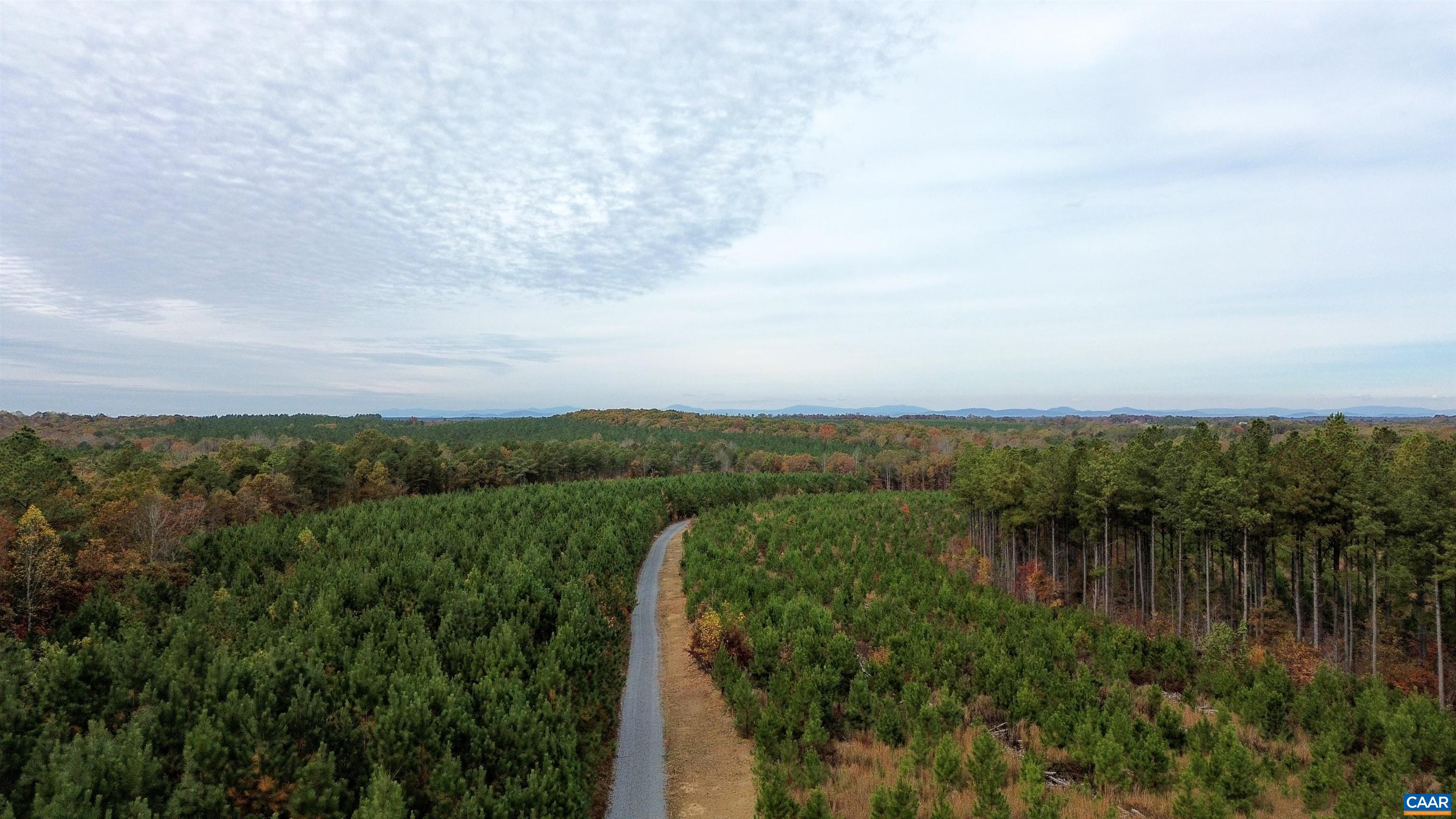 TBA RIDGE RD, ARVONIA, Virginia 23004, ,Land,Ridge Road Lot 1,TBA RIDGE RD,670563 MLS # 670563 TBA RIDGE RD, ARVONIA, Virginia 23004, ,Land,Ridge Road Lot 1,TBA RIDGE RD,670563 MLS # 670563