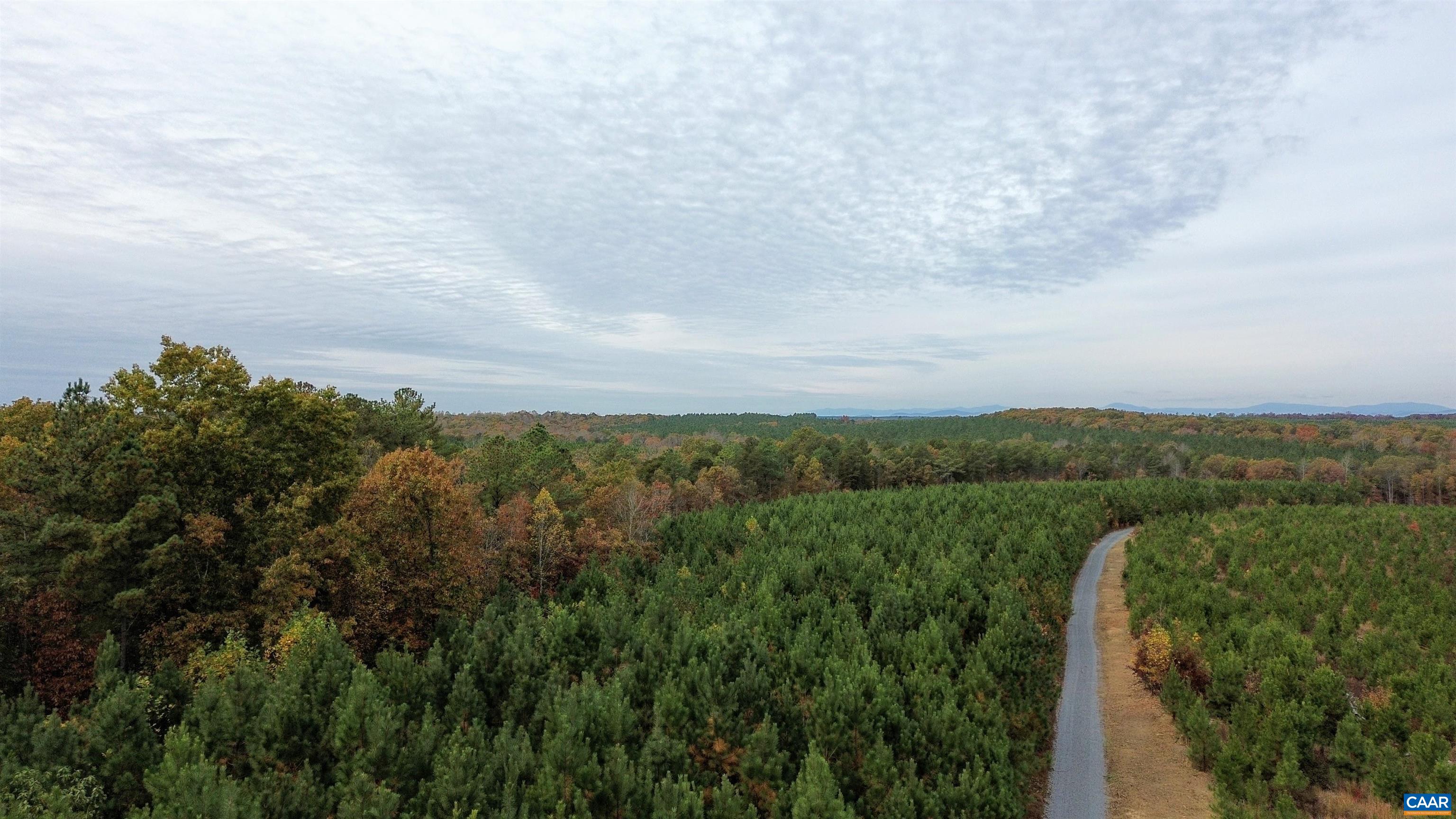 TBA RIDGE RD, ARVONIA, Virginia 23004, ,Land,Ridge Road Lot 1,TBA RIDGE RD,670563 MLS # 670563 TBA RIDGE RD, ARVONIA, Virginia 23004, ,Land,Ridge Road Lot 1,TBA RIDGE RD,670563 MLS # 670563