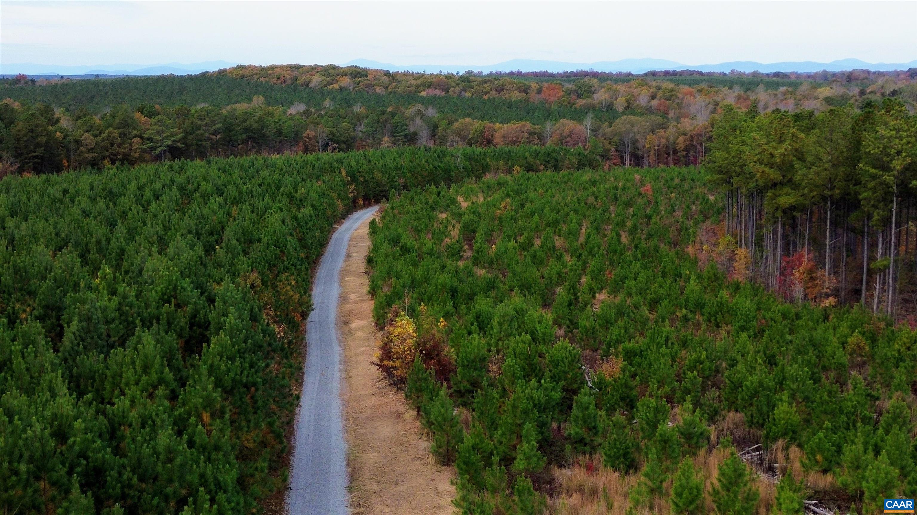 TBA RIDGE RD, ARVONIA, Virginia 23004, ,Land,Ridge Road Lot 1,TBA RIDGE RD,670563 MLS # 670563 TBA RIDGE RD, ARVONIA, Virginia 23004, ,Land,Ridge Road Lot 1,TBA RIDGE RD,670563 MLS # 670563