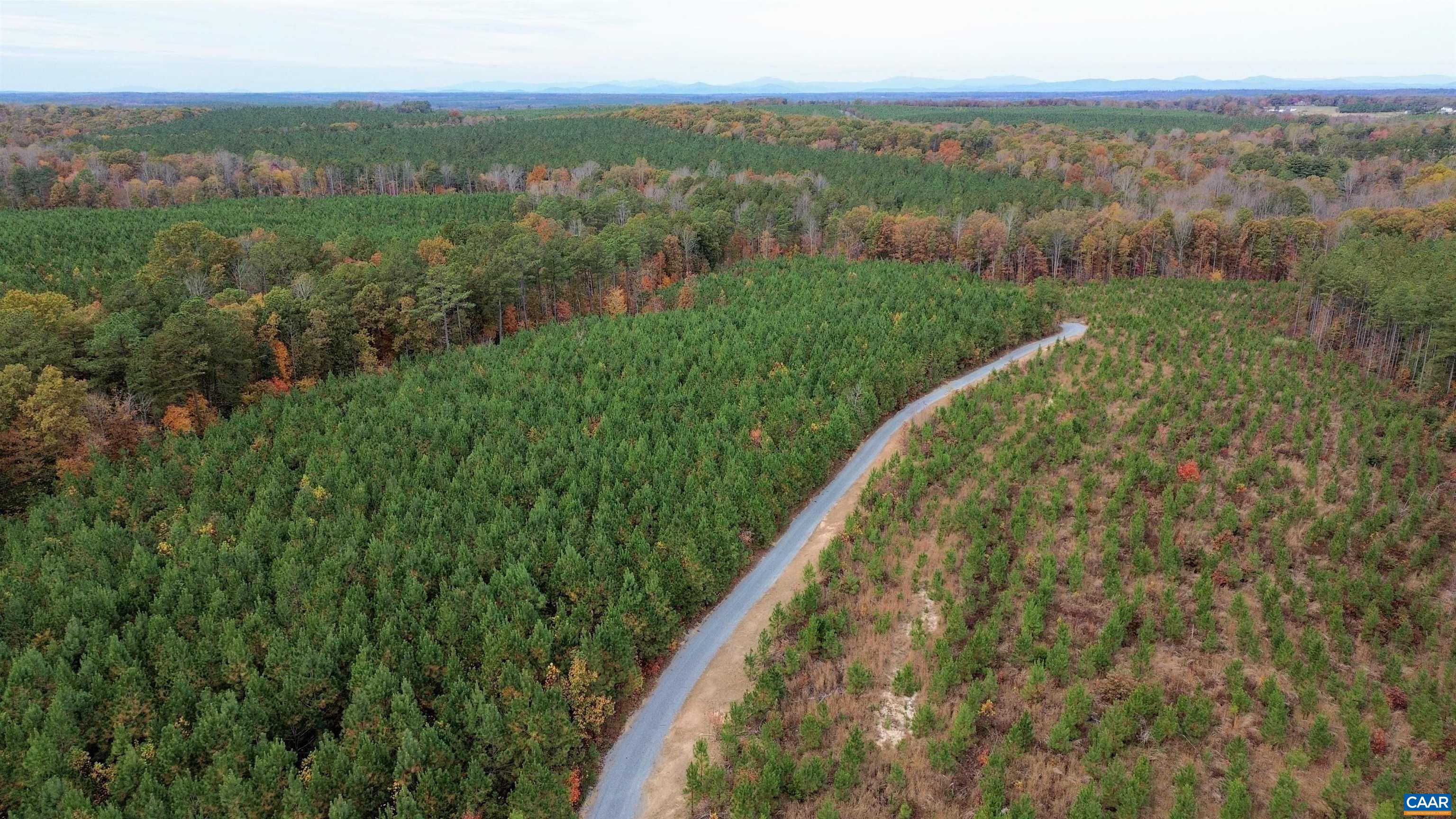 TBA RIDGE RD, ARVONIA, Virginia 23004, ,Land,Ridge Road Lot 1,TBA RIDGE RD,670563 MLS # 670563 TBA RIDGE RD, ARVONIA, Virginia 23004, ,Land,Ridge Road Lot 1,TBA RIDGE RD,670563 MLS # 670563
