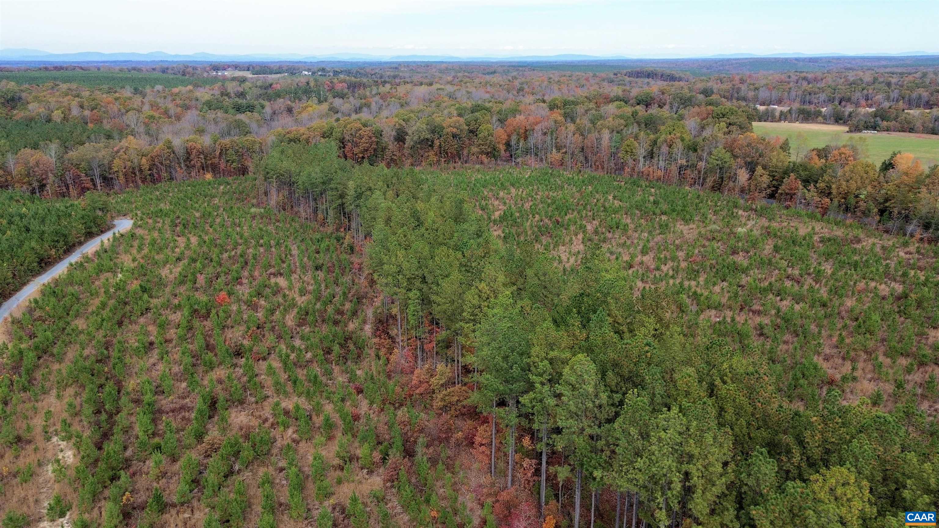 TBA RIDGE RD, ARVONIA, Virginia 23004, ,Land,Ridge Road Lot 1,TBA RIDGE RD,670563 MLS # 670563 TBA RIDGE RD, ARVONIA, Virginia 23004, ,Land,Ridge Road Lot 1,TBA RIDGE RD,670563 MLS # 670563
