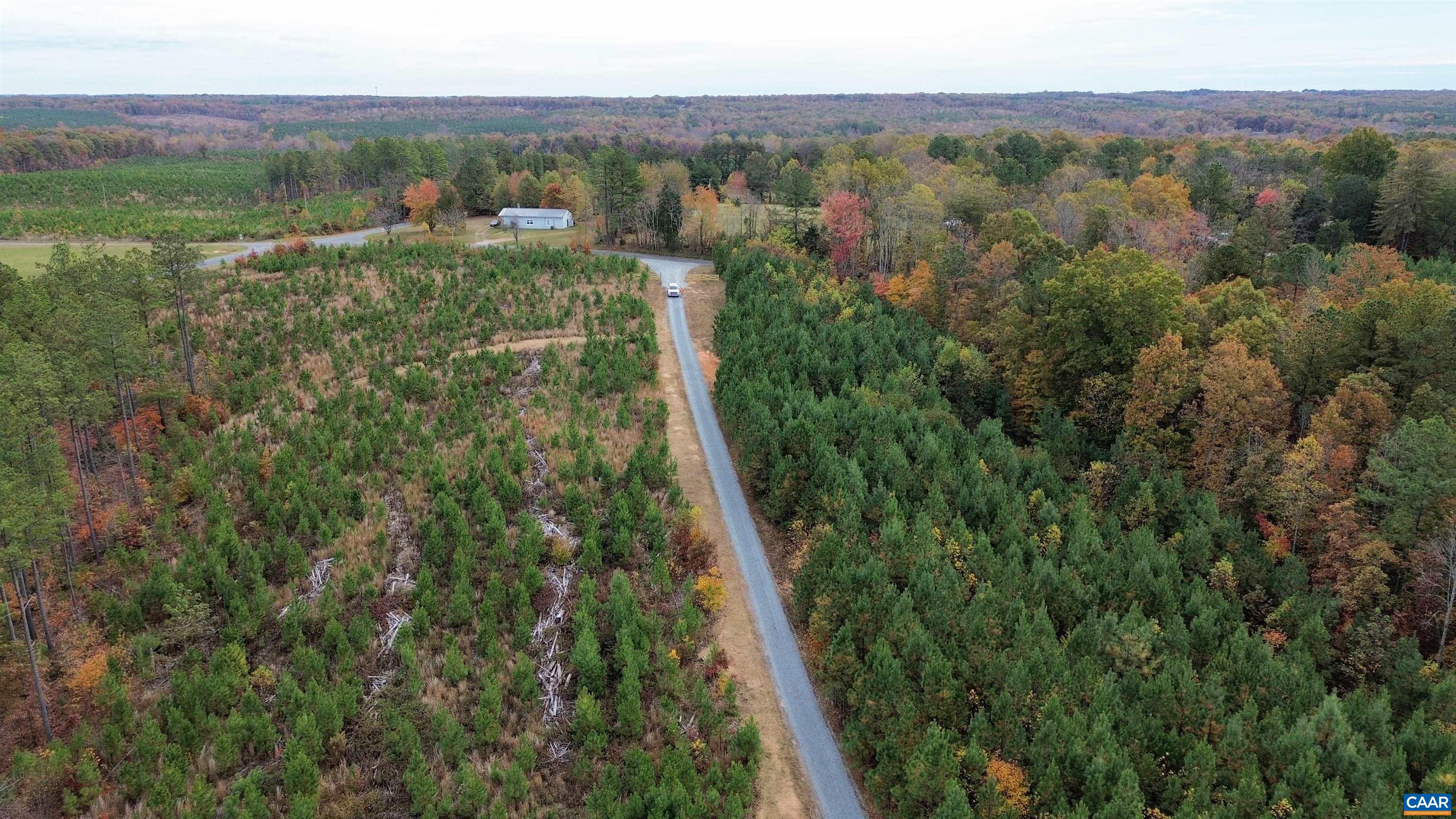 TBA RIDGE RD, ARVONIA, Virginia 23004, ,Land,Ridge Road Lot 1,TBA RIDGE RD,670563 MLS # 670563 TBA RIDGE RD, ARVONIA, Virginia 23004, ,Land,Ridge Road Lot 1,TBA RIDGE RD,670563 MLS # 670563